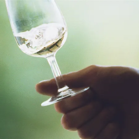 Mercure Hotel Vittel